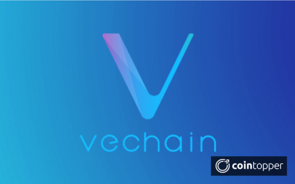VeChain(VET) Coin 101 – Everything you need to know